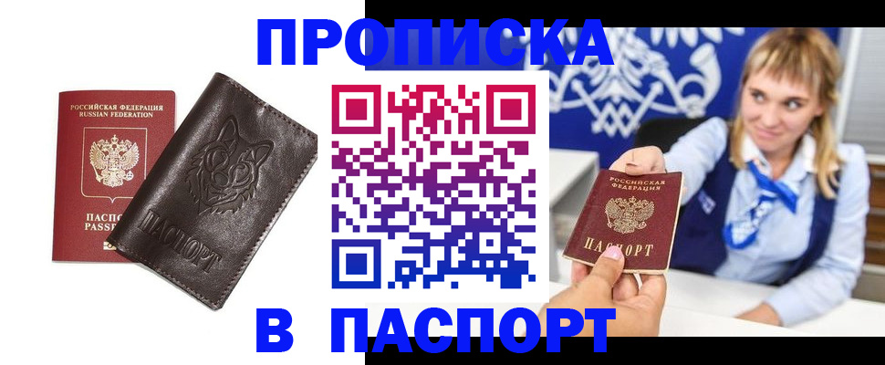 где прописаться в Кандалакше